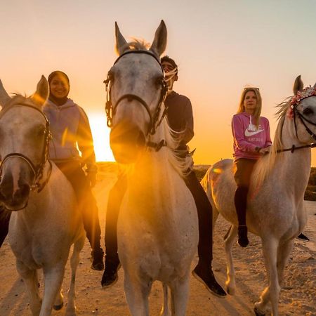 ホテルPura Eco Retreat, Jubail Island アブダビ エクステリア 写真