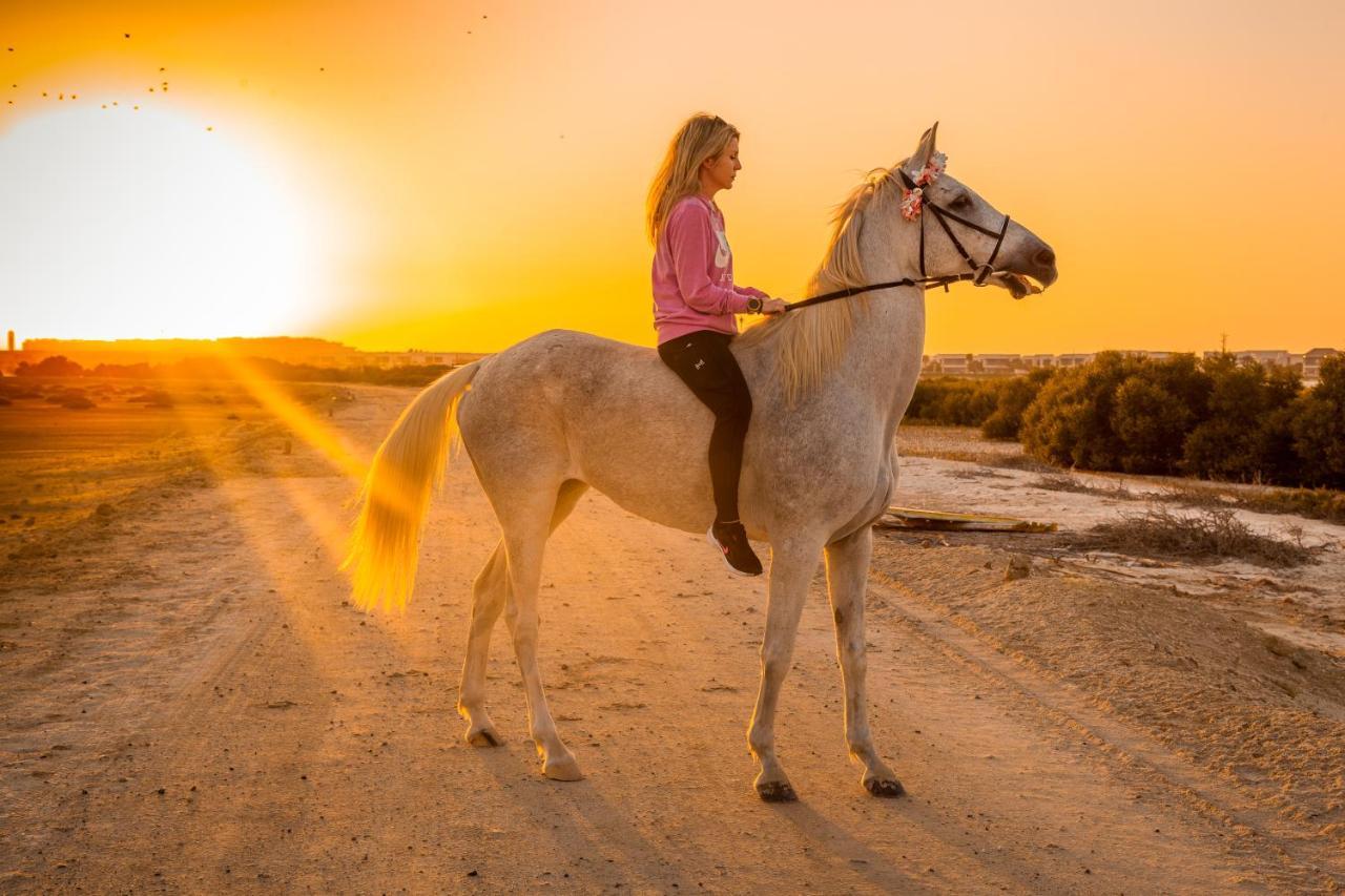 ホテルPura Eco Retreat, Jubail Island アブダビ エクステリア 写真