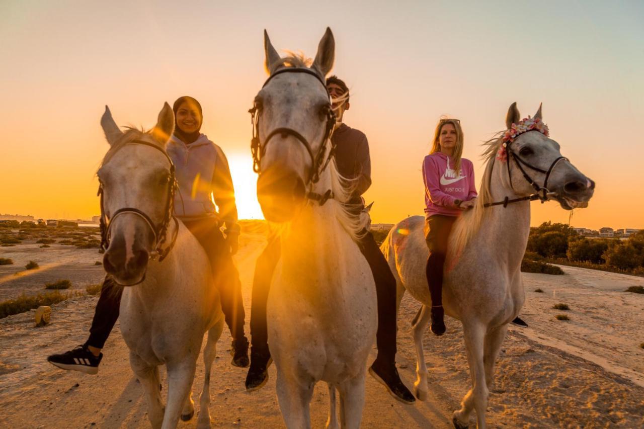 ホテルPura Eco Retreat, Jubail Island アブダビ エクステリア 写真